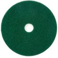 Americo Global Industrial„¢ 22" Scrubbing Pad, Green, 5 Per Case 400322